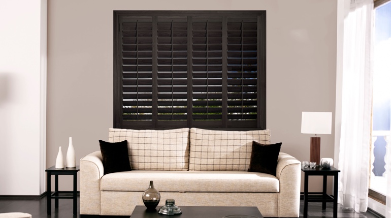 Indianapolis living room with black shutters.